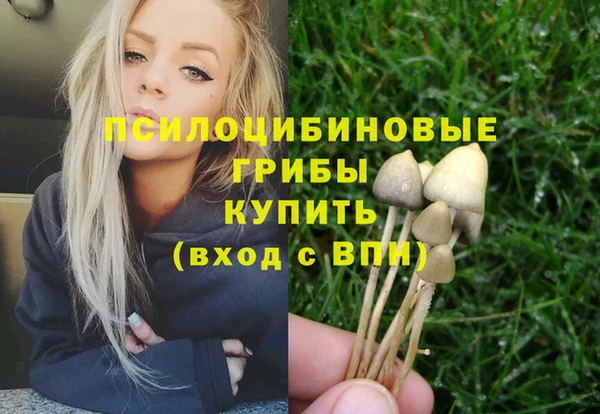 гидропоника Саяногорск