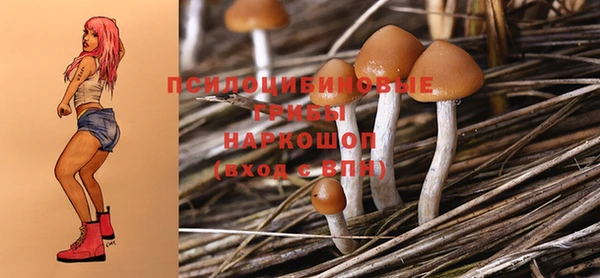 гидропоника Саяногорск